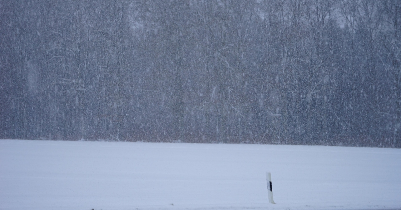 Latvijā gaidāms sniegvilksnis un stiprs putenis