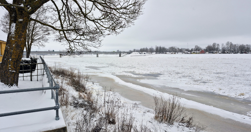 Vižņi Daugavā rada bažas Jēkabpils novadā