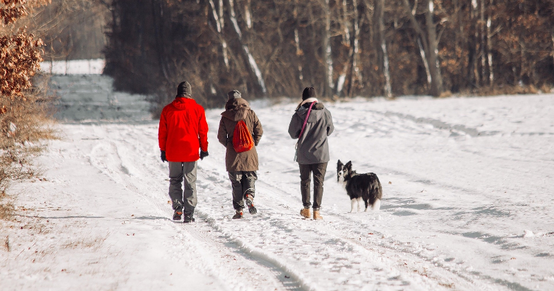Jēkabpils dzīvnieku patversme iesaistās soļo&scaron;anas izaicinājumā