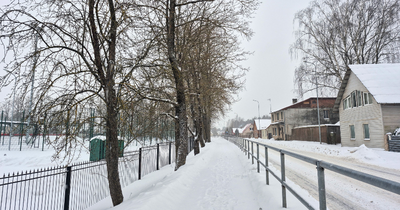 Pie Jēkabpils Valsts ģimnāzijas augo&scaron;ie koki rada apdraudējumu &ndash; vietvara kop&scaron;anas vietā izvēlas cir&scaron;anu