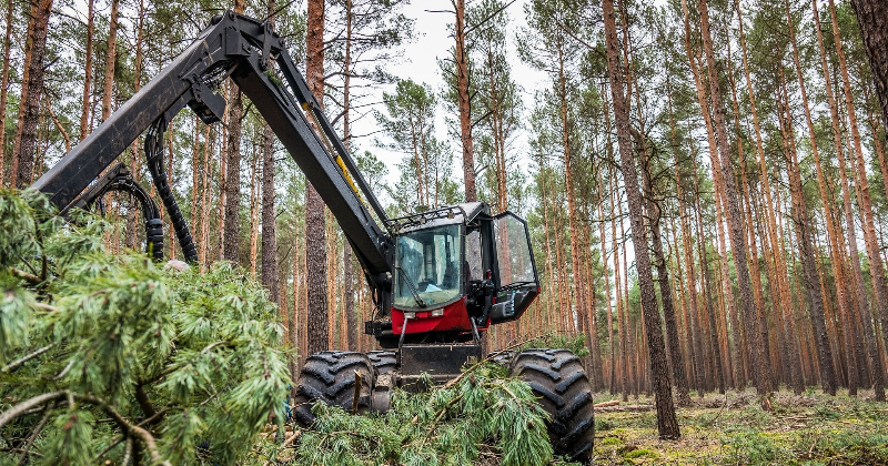 Zāģbaļķu komisijas ziņojums &ndash; politisks instruments ZZS nomelno&scaron;anai?