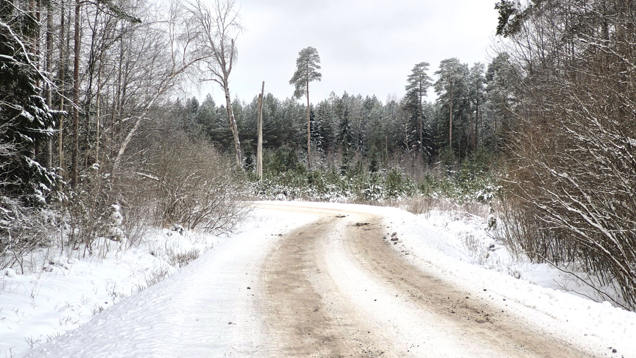 Sniega sega Latvijā pieaugs par 20 centimetriem