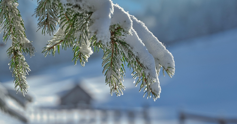 Jēkabpilī 30 centimetri, Līvānu pusē vēl vairāk &ndash; Latviju klāj dziļa sniega sega