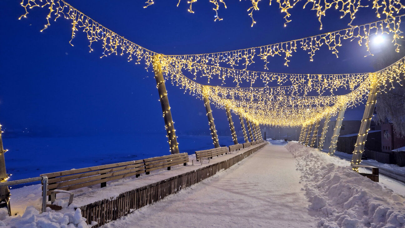 Jēkabpils pusē nakts atnesa vienu no bargākajiem saliem valstī, taču nākamnedēļ sola atkusni