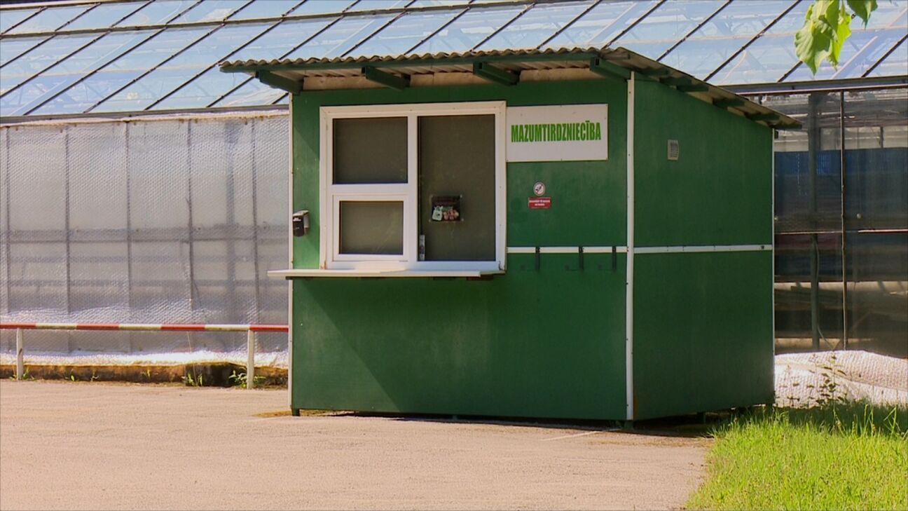 Izbeigta dārzeņu audzētāja 