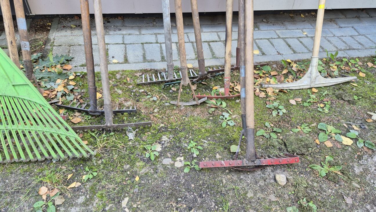 Latvija gatavojas “Lielajai Talkai” ar saukli “Roku rokā – Latvijai” 