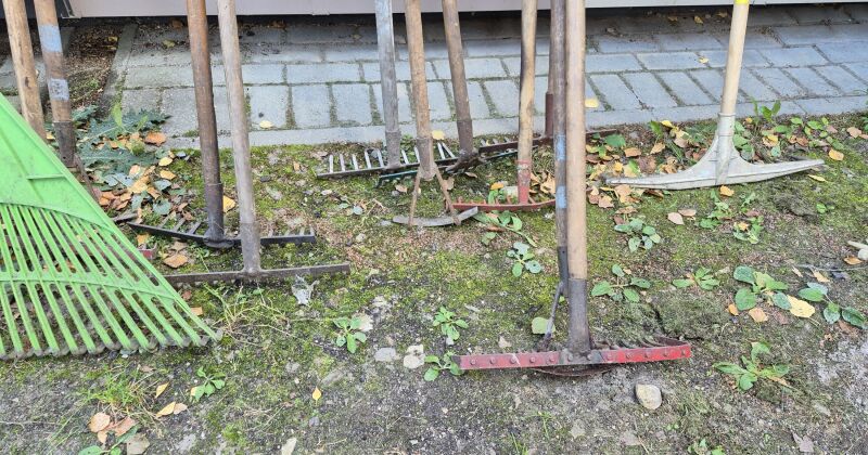 Latvija gatavojas &ldquo;Lielajai Talkai&rdquo; ar saukli &ldquo;Roku rokā &ndash; Latvijai&rdquo; 