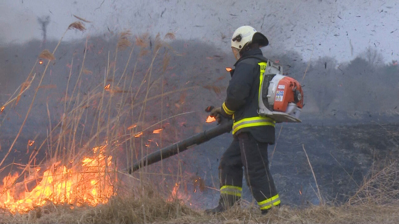 Jēkabpils novadā trīs vietās degusi kūla – liesmas skārušas arī mežu