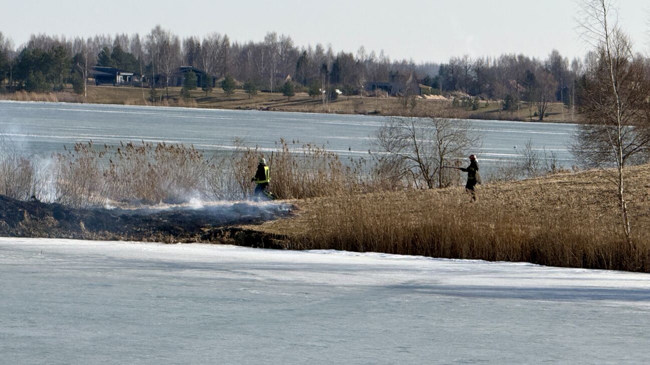 Jauniešu neapdomīga rīcība ar uguni Jēkabpils Mežaparkā beidzās ar kūlas ugunsgrēku