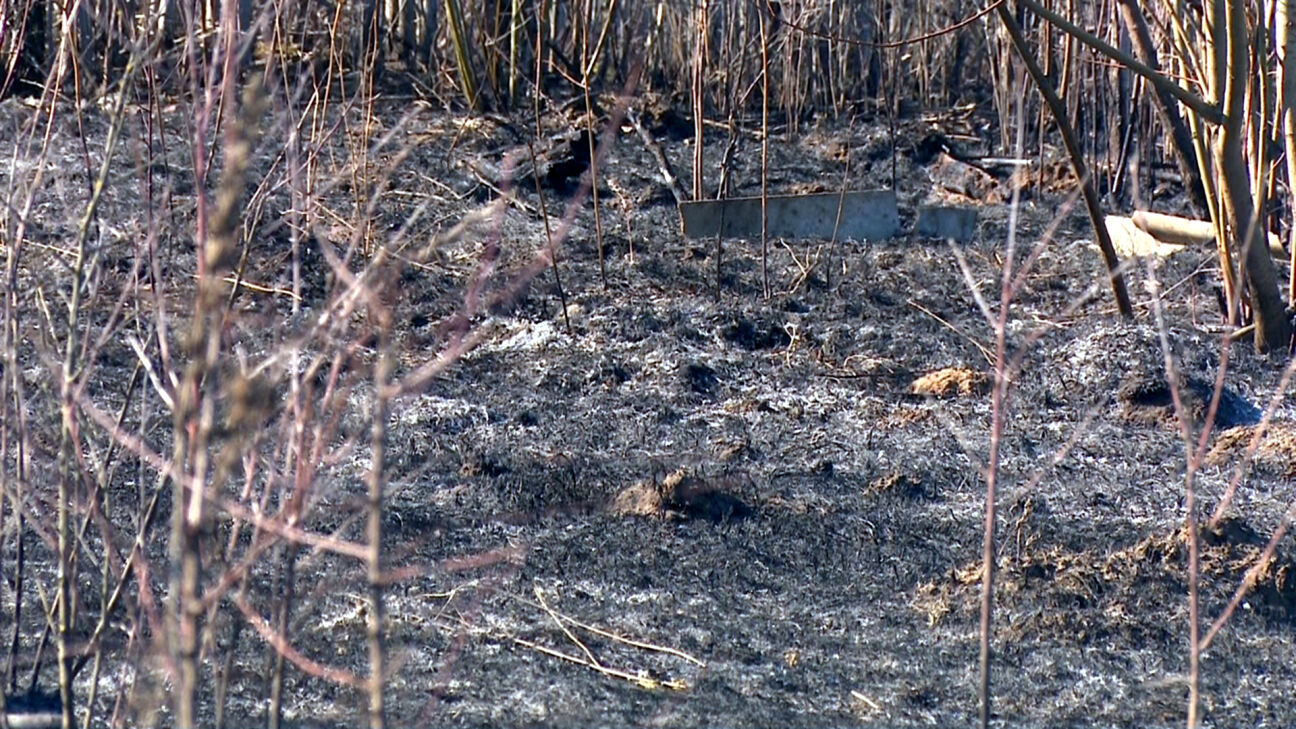 Jēkabpils novadā dzēsti četri kūlas ugunsgrēki, Aizkraukles novadā – degoši sodrēji